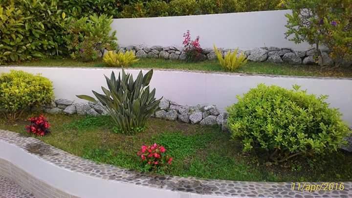 B&B Il Quadrifoglio Tropea Exteriör bild